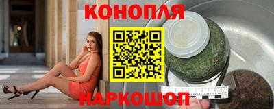 сатива Гай