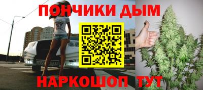 сатива Гай
