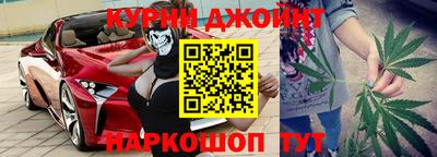 сатива Гай